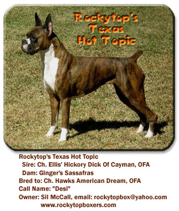 Rockytop's Texas Hot Topic