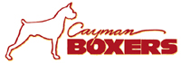 Welcome to Cayman Boxers!