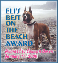 Eli's "Best on the Beach" Award